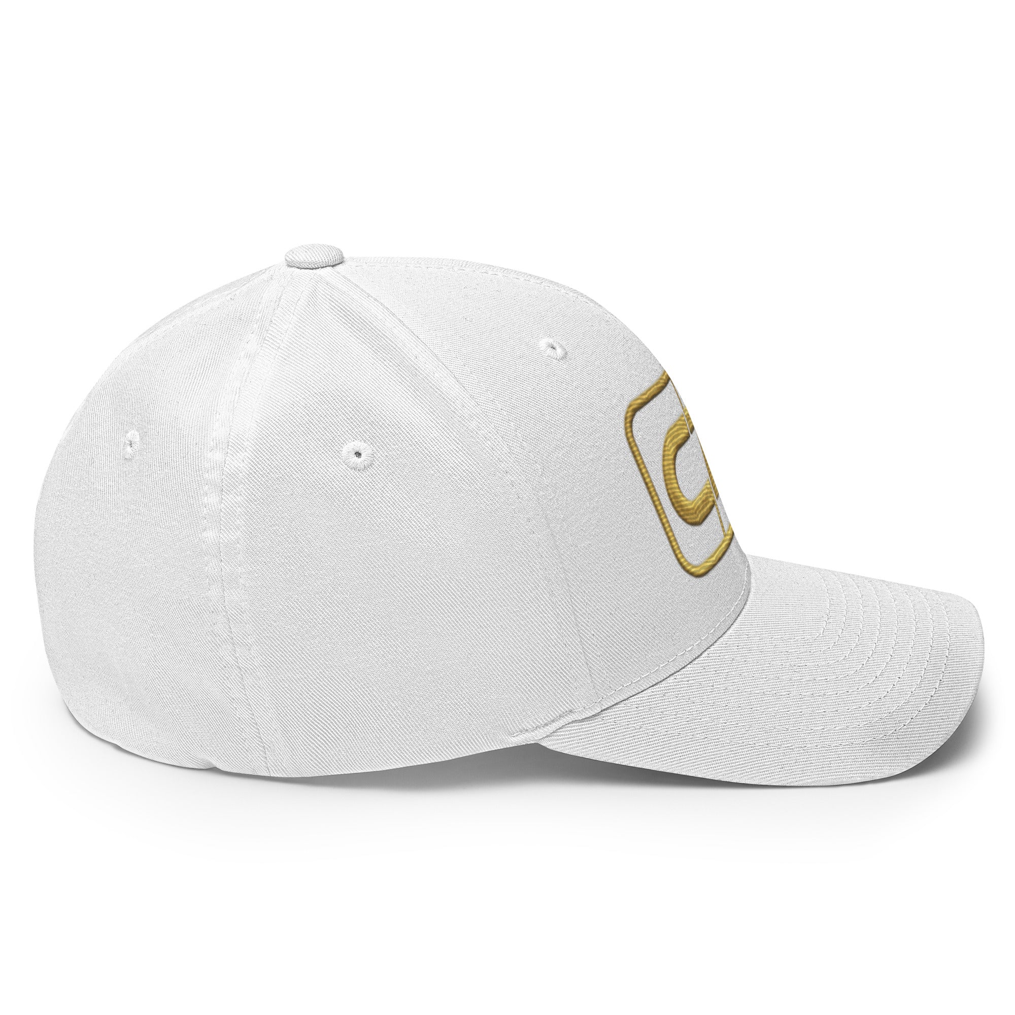 performance cap